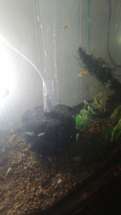 Аквариум 110литров полный комплект