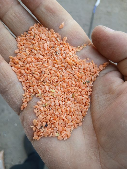 Продам сечку чечевицы