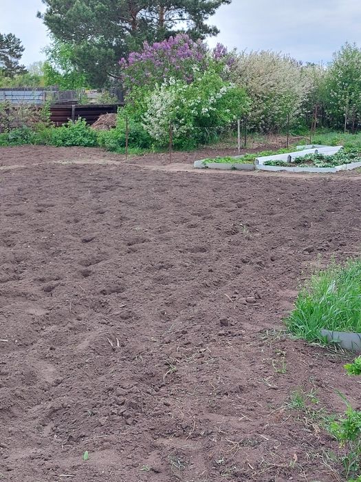 Продам дачу 1 общество