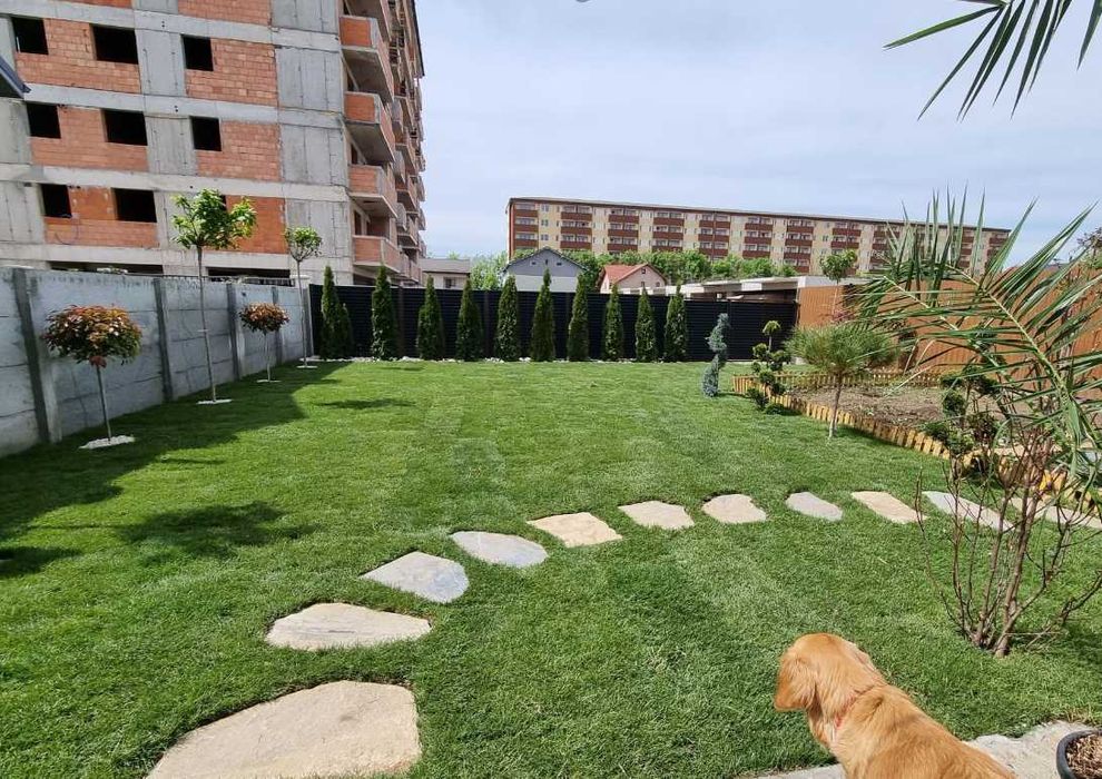 Gazon Profesional pentru Curți și Grădini Moderne
