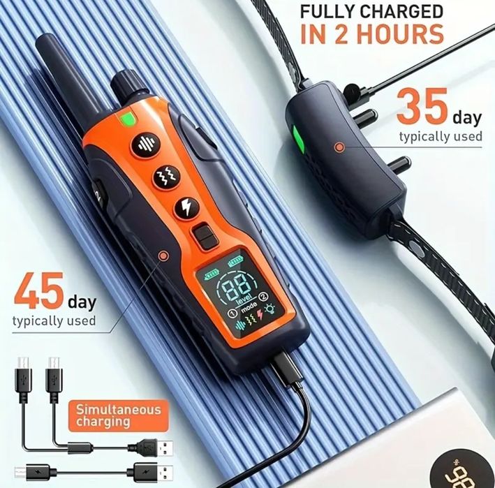 Ошейник для дрессировки