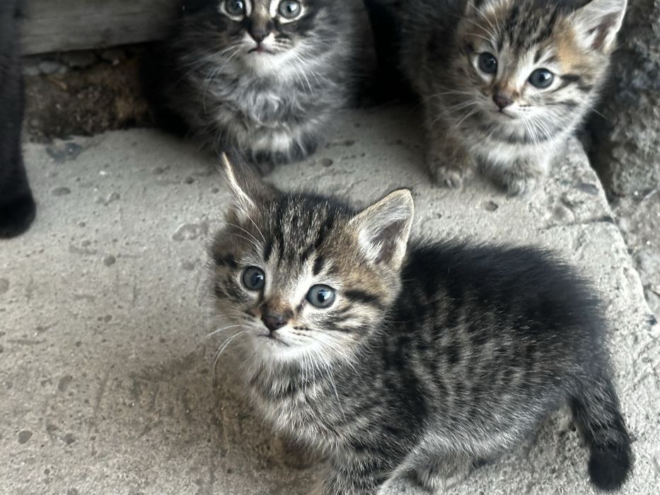 Только в любящие руки