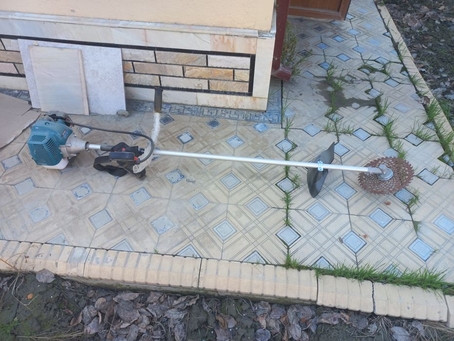 Маторли ут ургич йанги