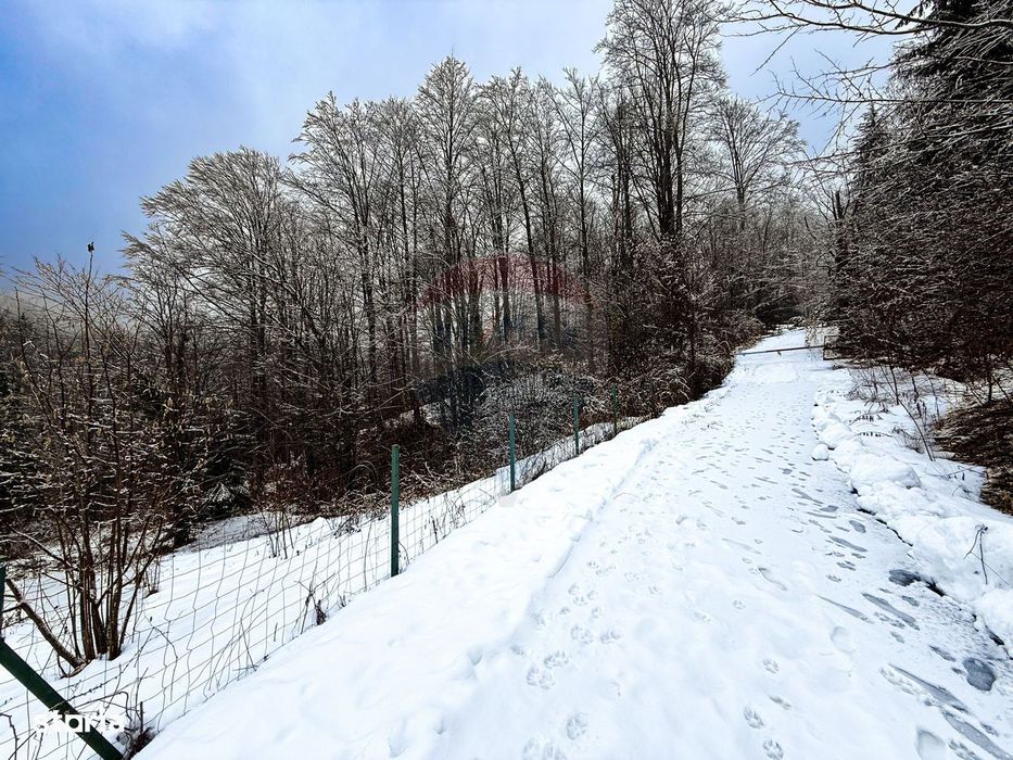 Teren 1,794mp Moroeni / Strada Lespezi