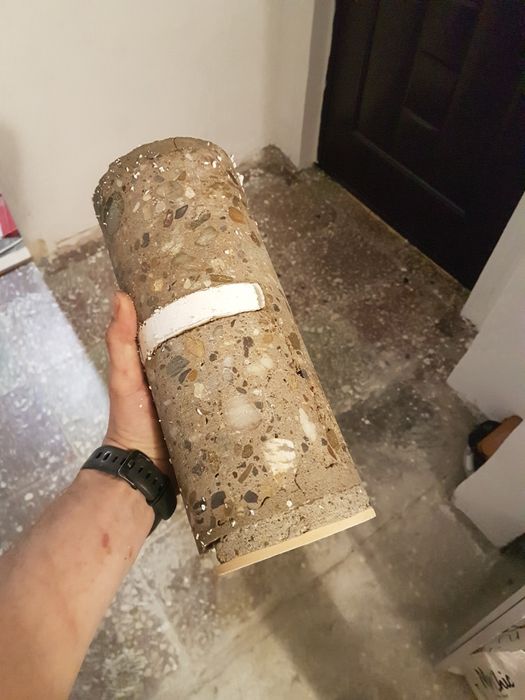 Gaura hota, gaura centrală, Lugoj