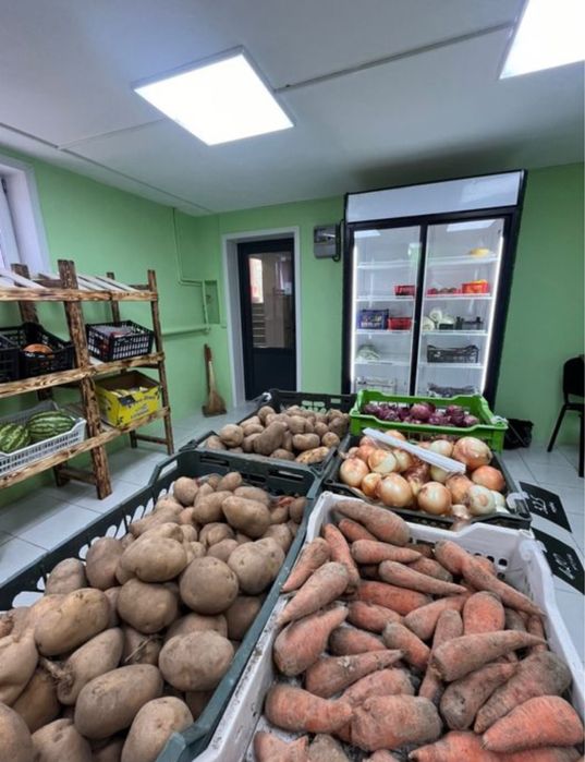 Овощи фрукты в аренду