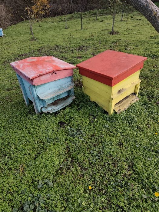 Кошери.      8 броя