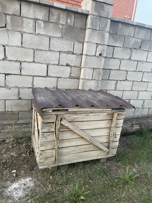 Отдам бутку для собаки