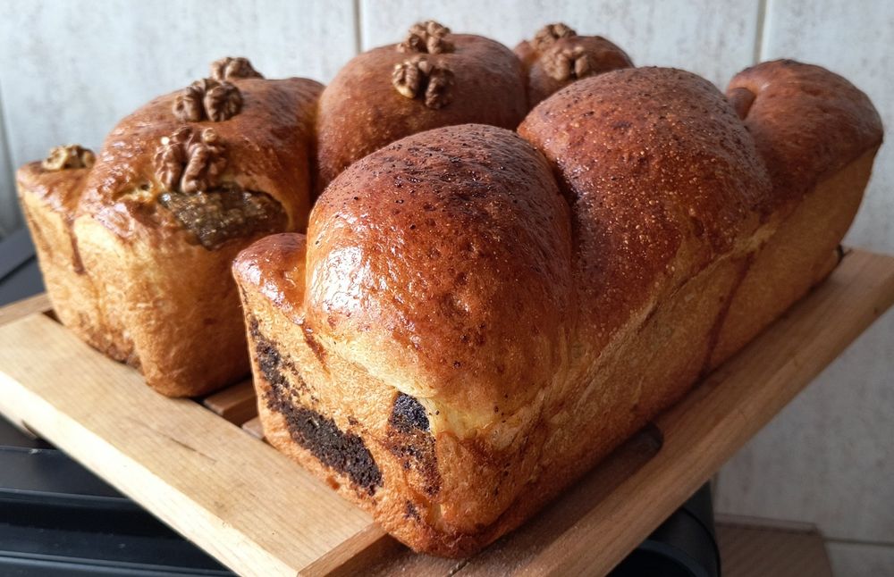 Maia salbatica Lievito Madre și 2 rețete de cozonac cu maia