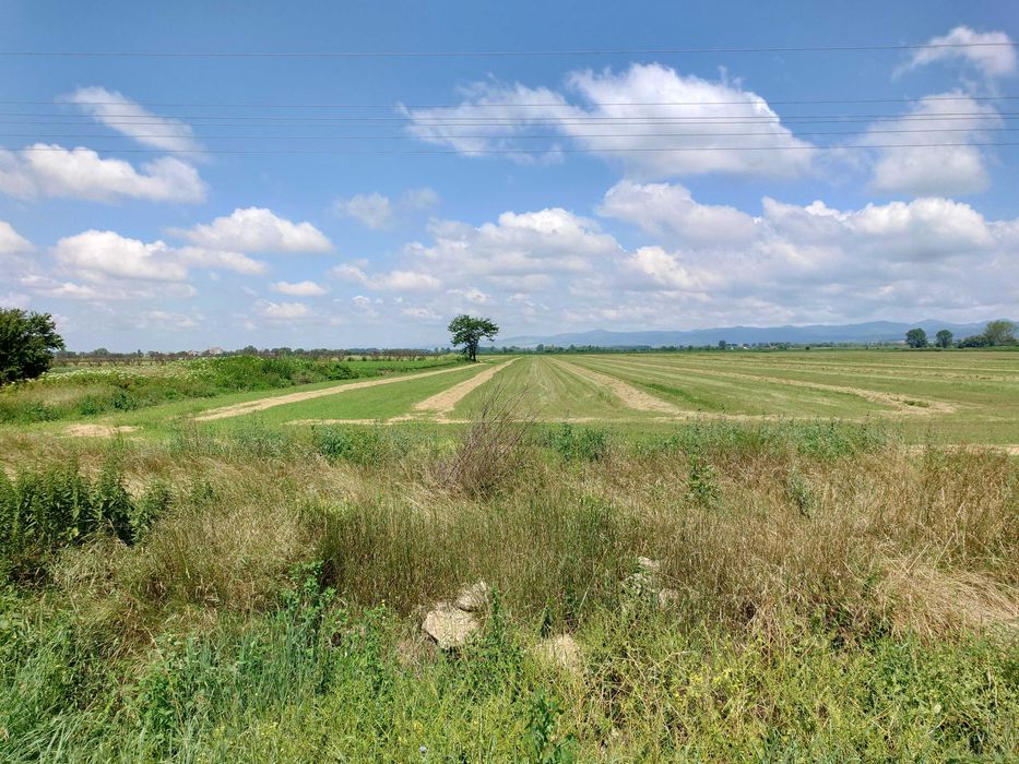 Продава се Земеделски имот в София, Сухата река -  кв.м за 11220 €/дка - Снимка #5