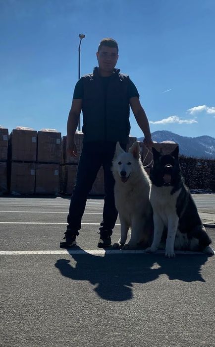 Dresaj canin Brașov