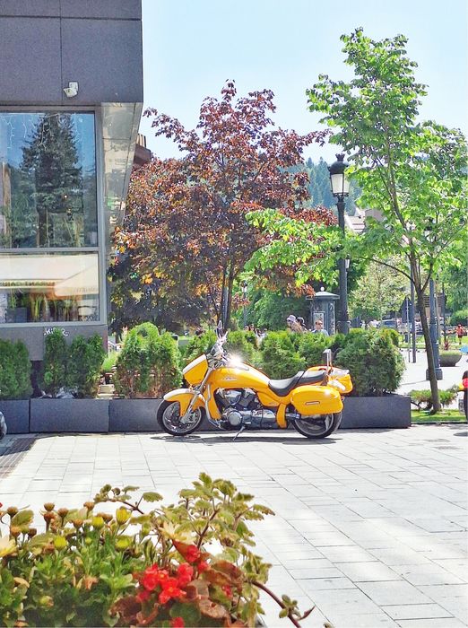 Suzuki Intruder 1800 VZR / Boulevard m109R