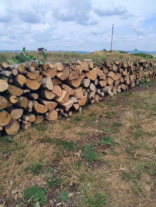 Lemne de foc esenta tare