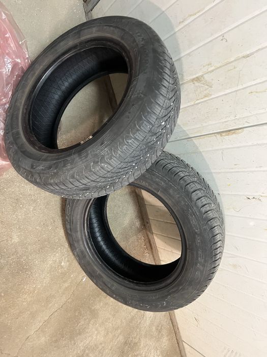 Debita Navigator 3  all season 175 65 14