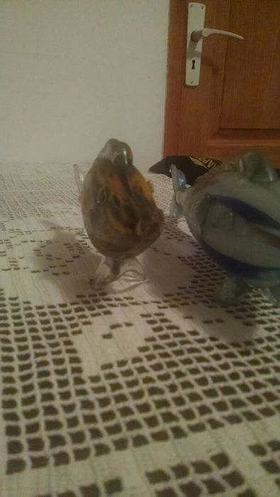 Pești sticla 2bucati