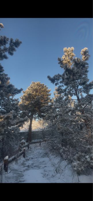 Дам в ареүду центре Борового