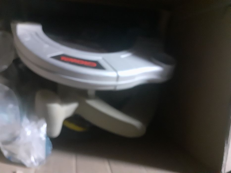 Пчёлка Пчёлка Пчёлка