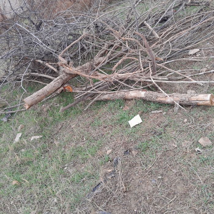 Курик утинлар сотилади