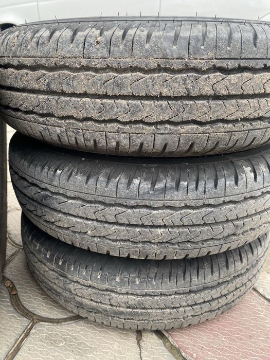 Damas balon Bars R12