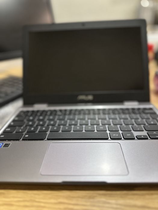 Asus Chromebook C223N