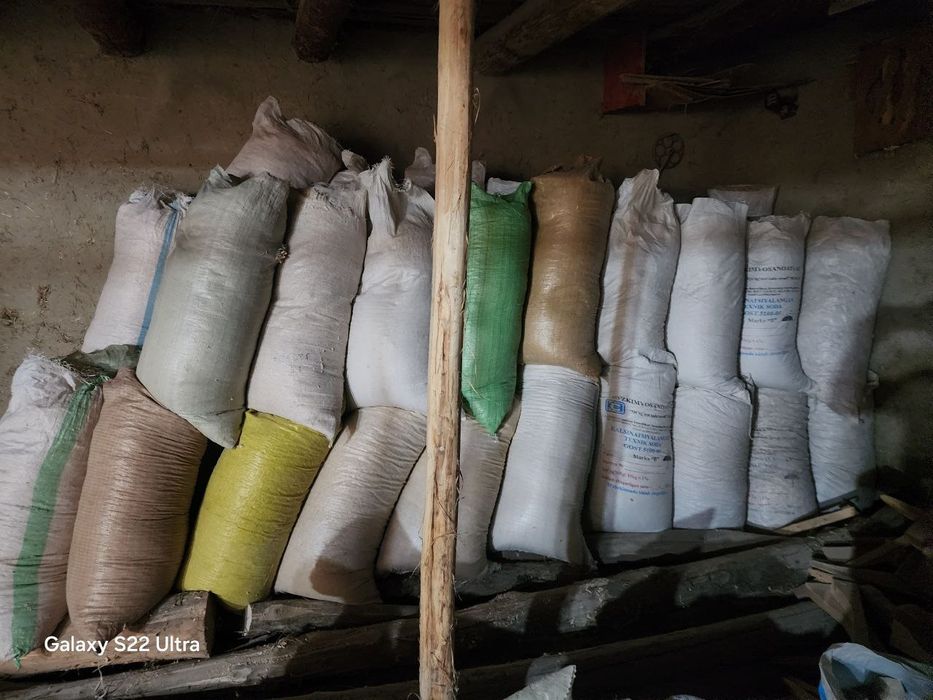 Apilka 15 mingdan xaltasi