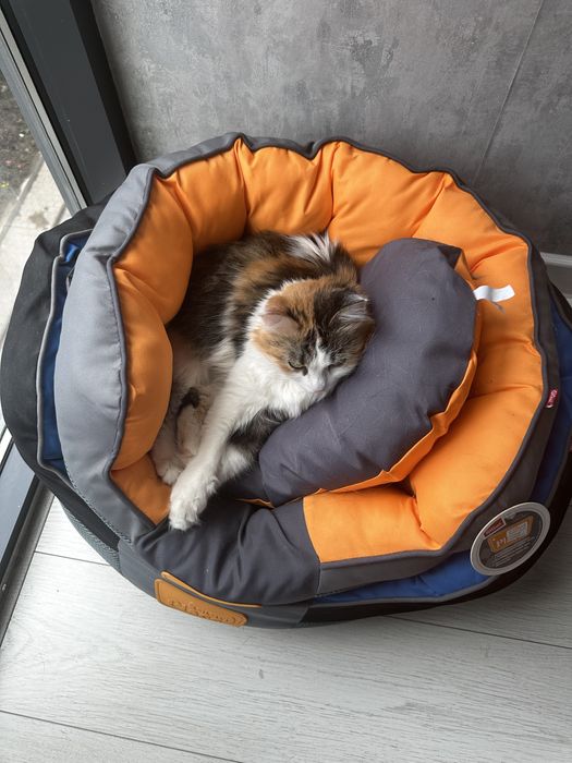 Лежанки для животных