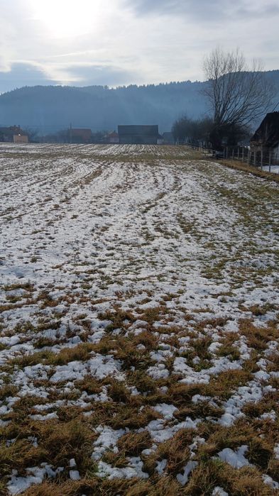 Grădină de vanzare 2200 mp