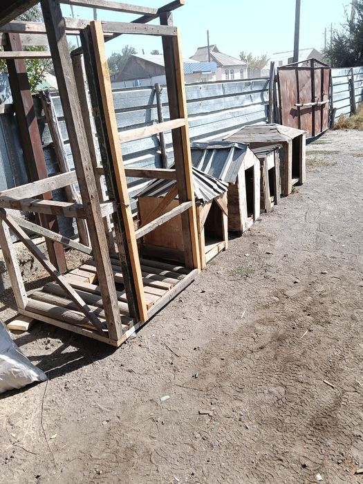 Продам будку для собак по 2000