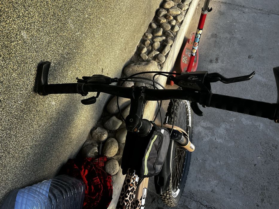 Велик тигринный за 35