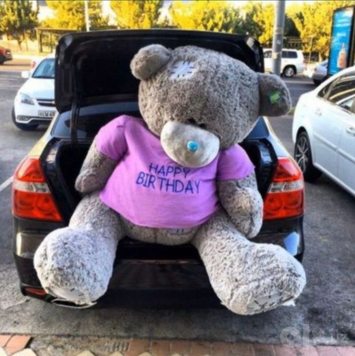 TEDDY,Teddi 1m_1.60sm