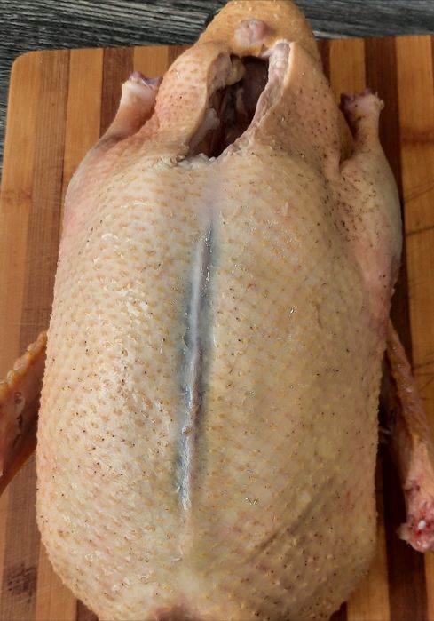 Утки,гуси куры домашняя