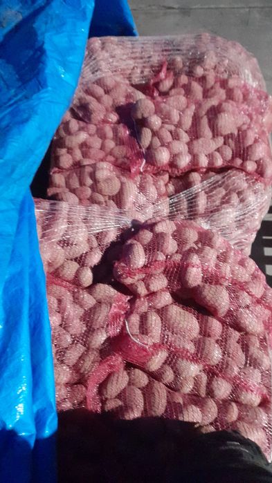 Vând cartofi alb rosu și ceapa