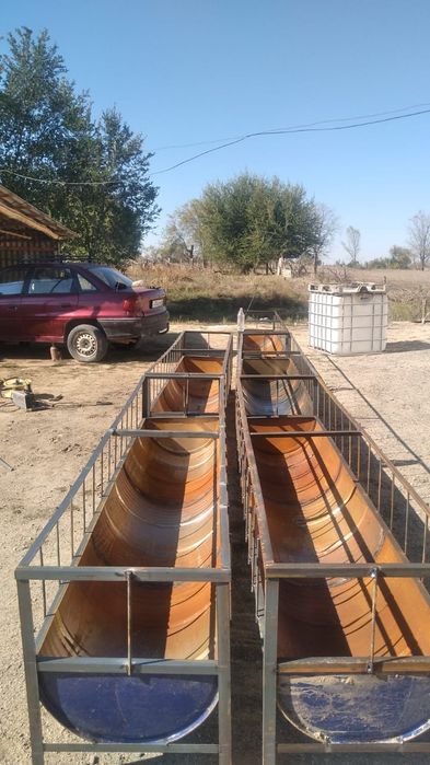 Қоиға науа астау