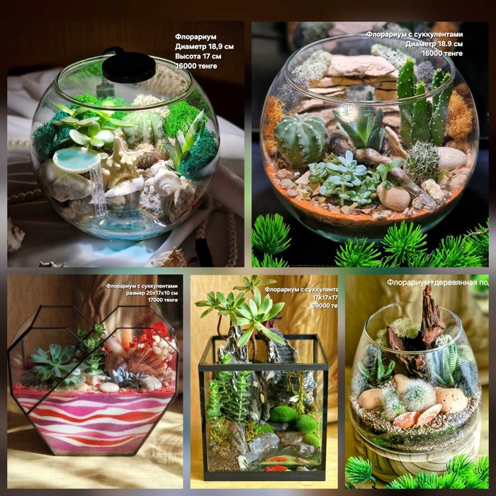 Флорариум, суккуленты