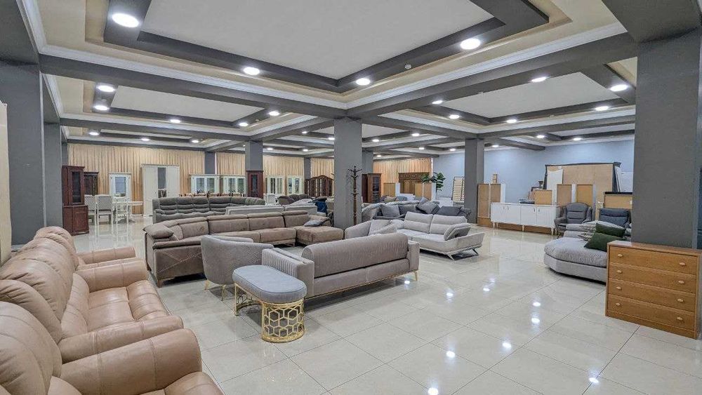 550 кв.м на Дружбе Народов (цокольный этаж)