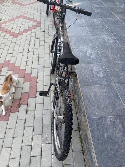 Mountain bike Scout 26"