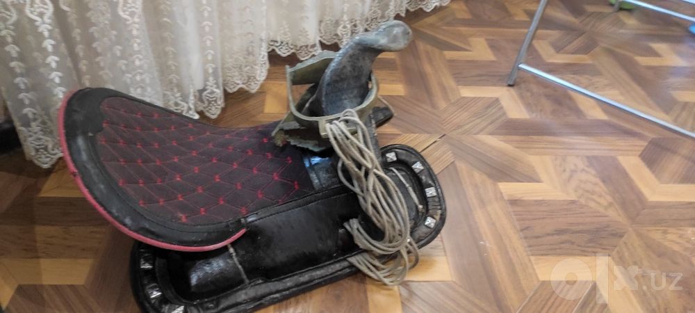 Egar, kumush tigmalari bilan