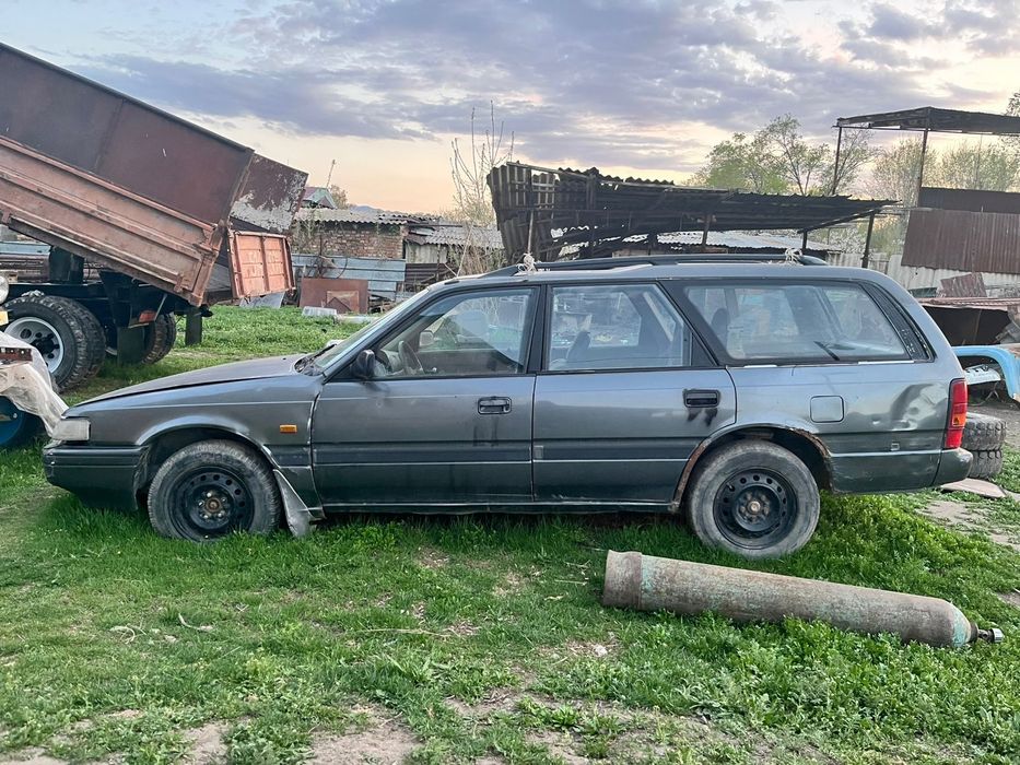 Маздап 1991 жылғы