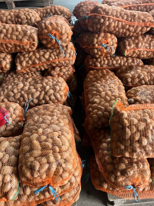 Cartofi albi și rozi