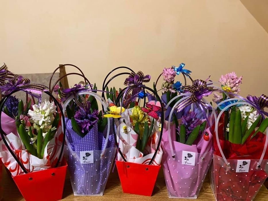 Crizantema en gross, Primule, zmbile și alte flori de vanzare