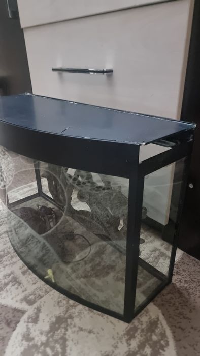 Аквариум для рыб