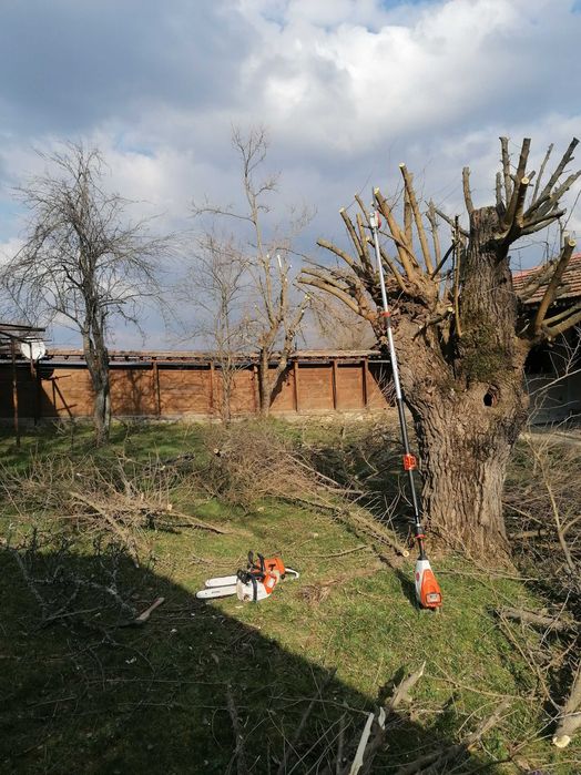 Косене на всякакъв вид треви и терени, рязане на дървета и поваляне, Дробилка!