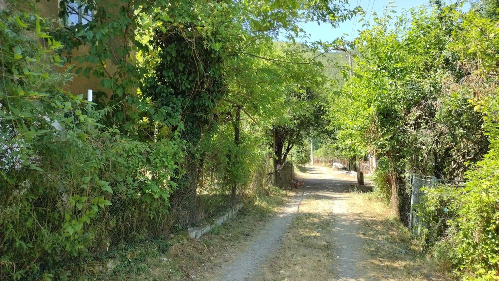 Продава се Къща в с. Пастух, Област Кюстендил - 55 кв.м за 231 €/кв.м - Снимка #3