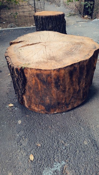 Карагач. Для рубки мяса