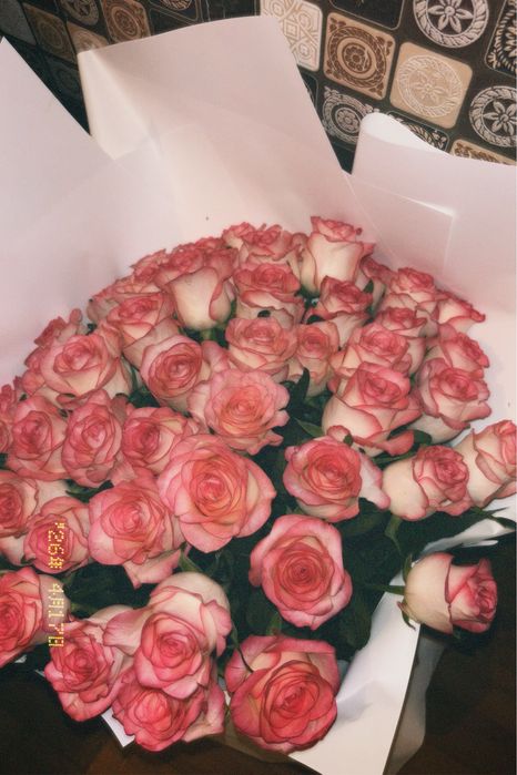 Гул роза 51шт!!!