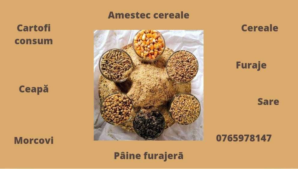 Porumb, Uruiala, Amestec boabe, Mazare, Spartura,  Cereale ambalate