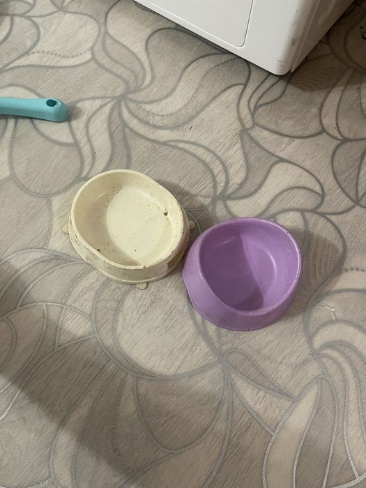 Комплект для кошки/котёнка