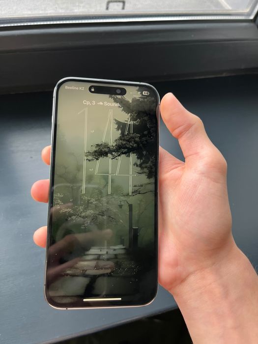 iPhone 14 pro max