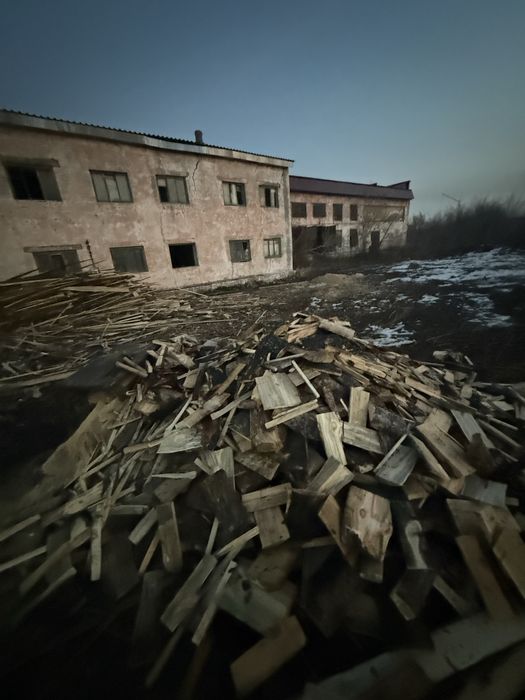 Продам дрова 10 тысяч