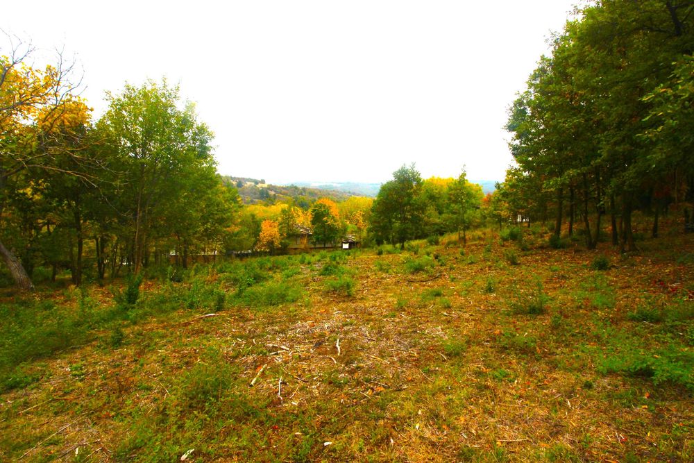 Продава се Парцел в с. Костенковци, Област Габрово - 4448 кв.м за 3 €/кв.м - Снимка #1